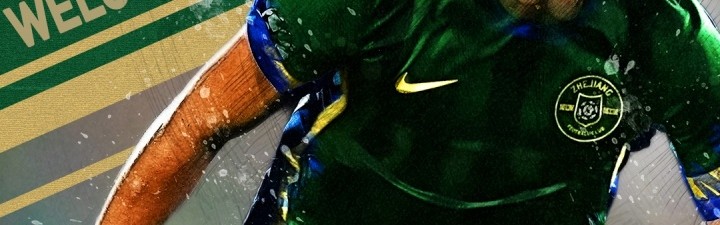 KaiyunSports-浙江队花130万欧签三大外援，其中朴镇燮100万欧+托利奇自由转会